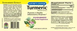 Turmeric Rhizome Extract