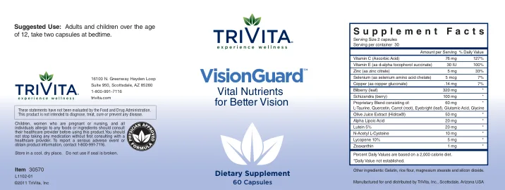 Label for VisionGuard