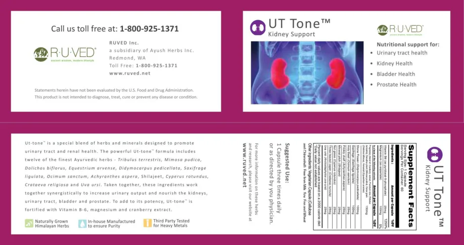 Label for UT Tone