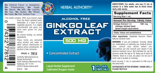 Ginkgo Leaf Extract 500 mg