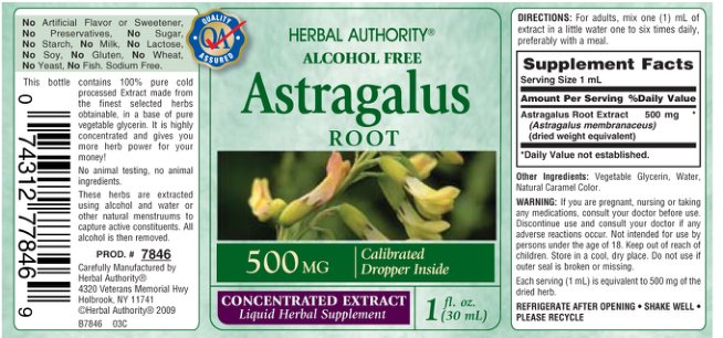 Astragalus Root 500 mg