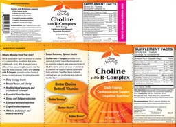 Label for Choline With B-Complex