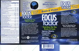 Label for Brain & Vision