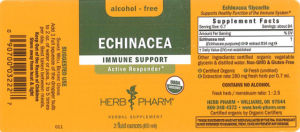 Echinacea