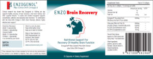 Brain Recovery