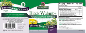 Black Walnut +