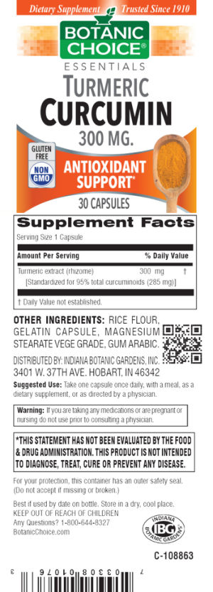 Turmeric Curcumin 300 mg