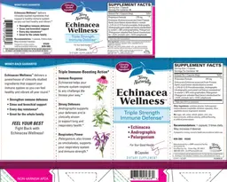 Label for Echinacea Wellness