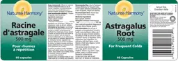 Astragalus Root 500 mg