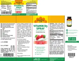 Label for Vitamin D3 Spray 50 mcg (2,000 IU) Strawberry Flavor