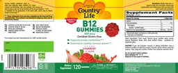 Label for B12 Gummies 850 mcg Strawberry Flavor