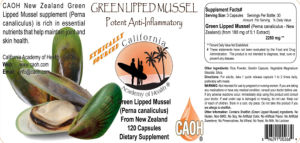 Green Lipped Mussel