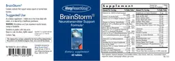 Label for BrainStorm