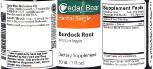 Burdock Root