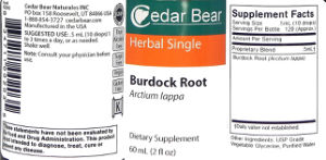 Burdock Root