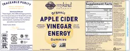 Apple Cider Vinegar Energy Gummies