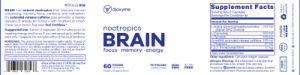 Nootropics Brain