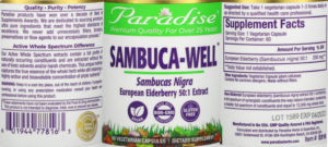 Sambuca-Well