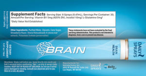 Brain