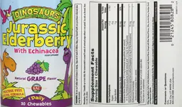 Label for Jurassic Elderberry Natural Grape Flavor