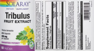 Tribulus Fruit Extract 450 mg