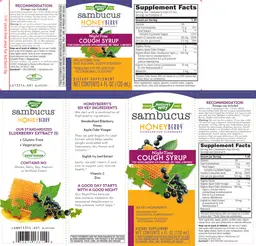 Label for Sambucus Night Time Cough Syrup HoneyBerry