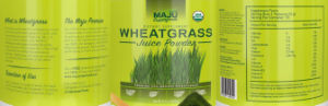 Wheatgrass Juice Powder