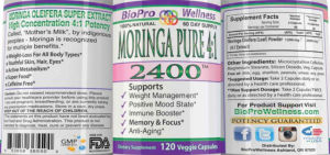 Moringa Pure 4:1 2400