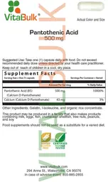 Label for Pantothenic Acid 500 mg
