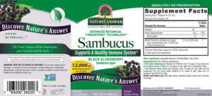 Sambucus Black Elderberry