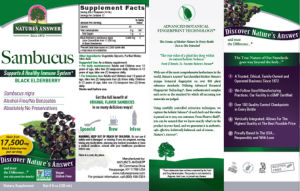 Sambucus Black Elderberry