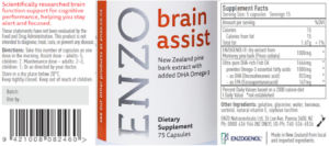 Brain Assist