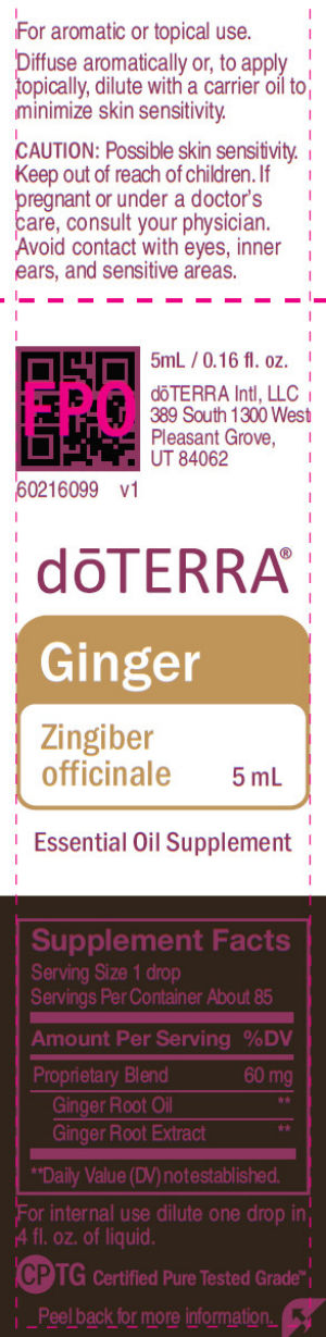 Ginger