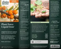 Plant Force Liquid Iron