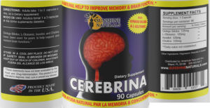 Cerebrina