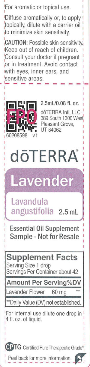 Lavender