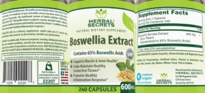 Boswellia Extract 600 mg
