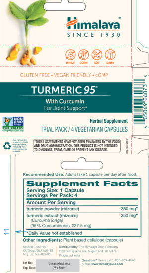 Turmeric 95