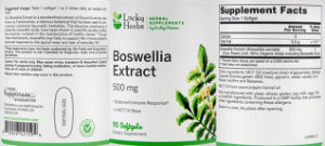 Boswellia Extract 500 mg