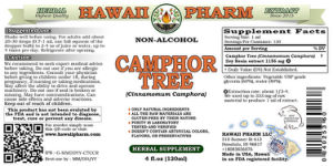 Camphor Tree Non-Alcohol