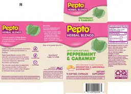 Label for Pepto Herbal Blends Peppermint & Caraway