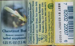 Label for Chestnut Bud Flower Essence