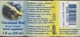 Label for Chestnut Bud Flower Essence