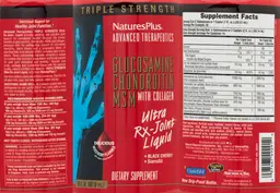Advanced Therapeutics Glucosamine Chondr