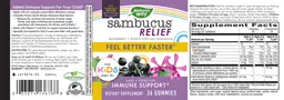 Label for Sambucus Relief for Kids Ages 2+ Gummies