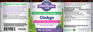 Ginkgo
