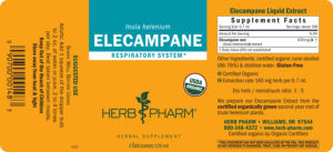 Elecampane