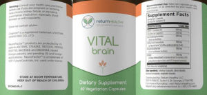 Vital Brain