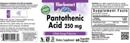 Label for Pantothenic Acid 250 mg