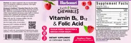 Label for Vitamin B6, B12 & Folic Acid Raspberry Flavor